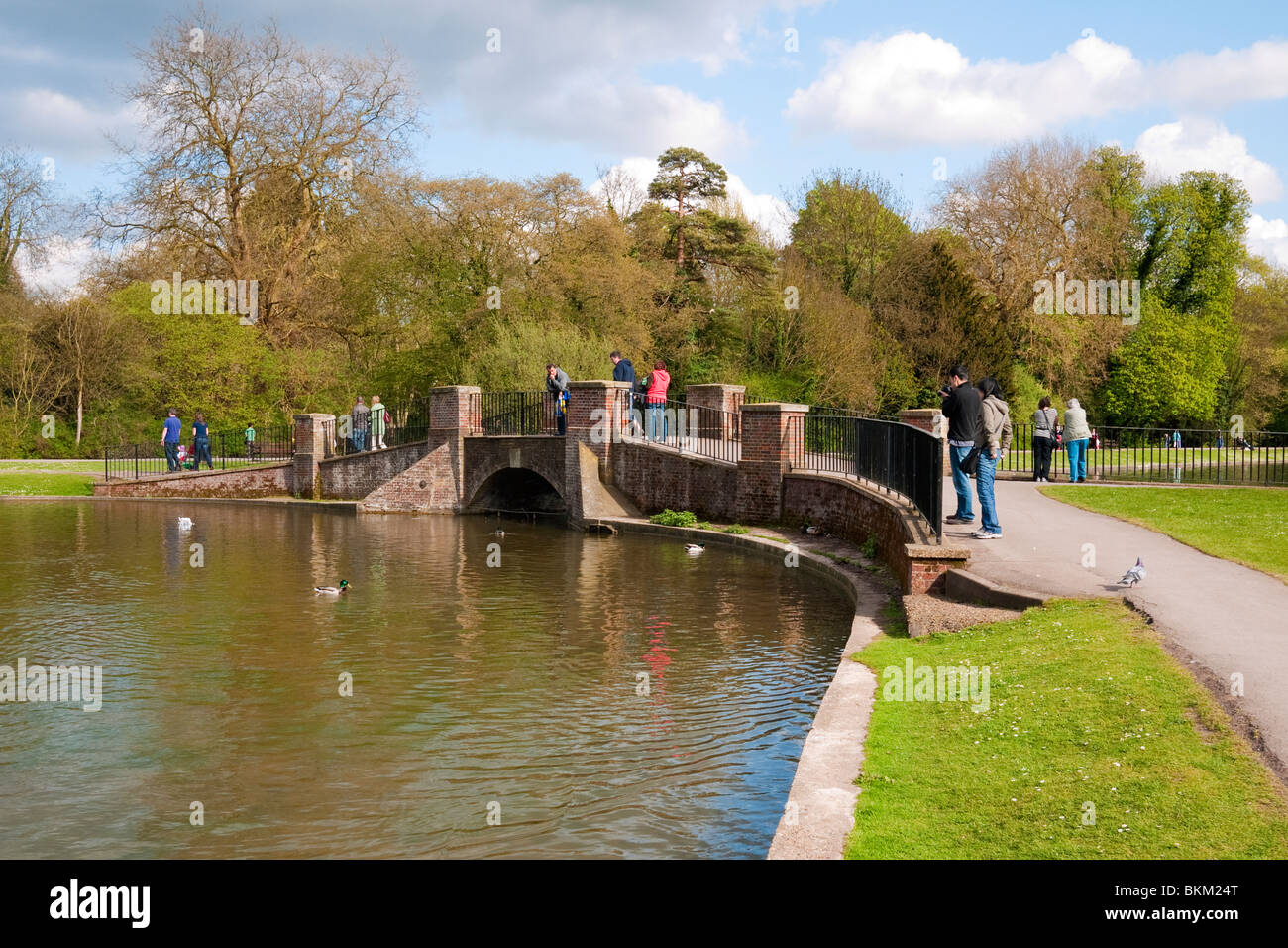 Bridge in Verulamium Park, St. Albans, Hertfordshire Stock Photo