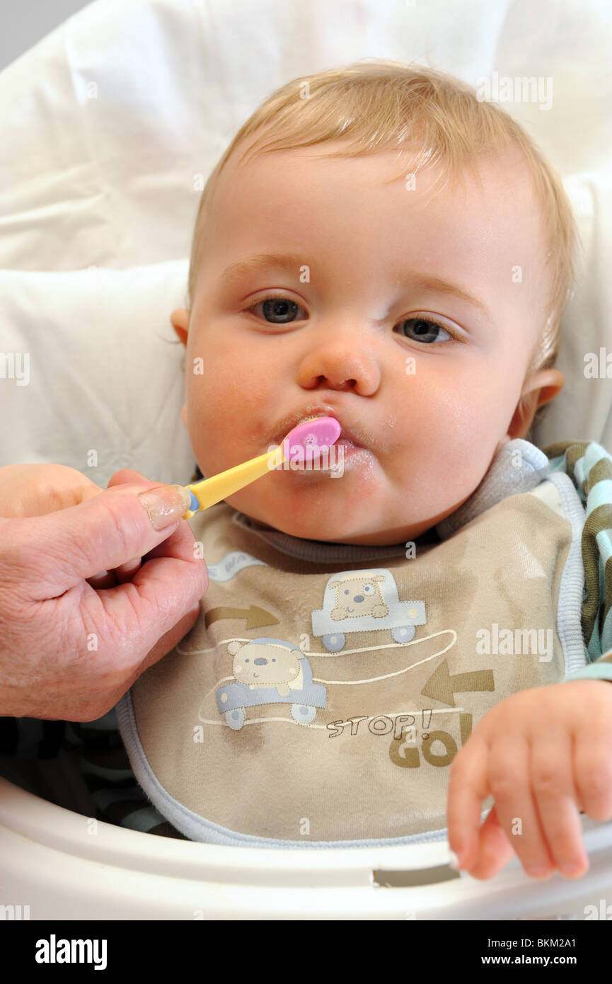 Baby boy cleaning milk teeth England Uk Stock Photo Alamy