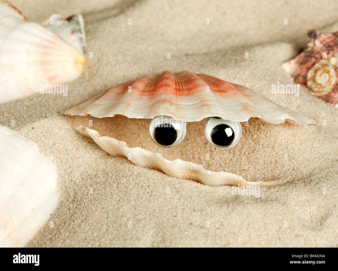 Open seashell on a beach with funny looking eyes Stock Photo