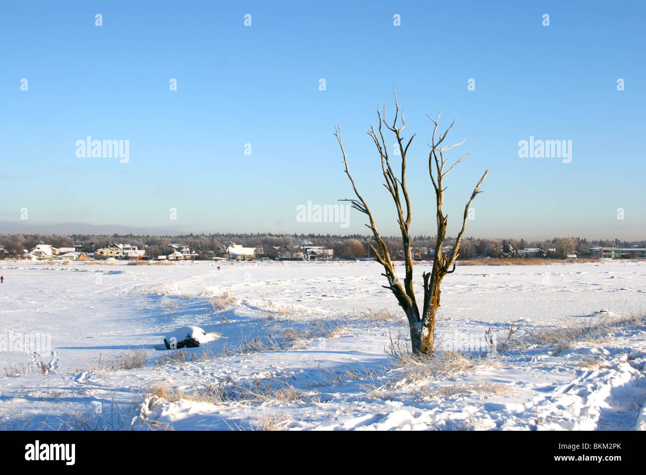 Beautiful winter landscape in a cold sunny day, near city of Tallinn in Estonia. Part of Baltic Sea is frozen Stock Photo