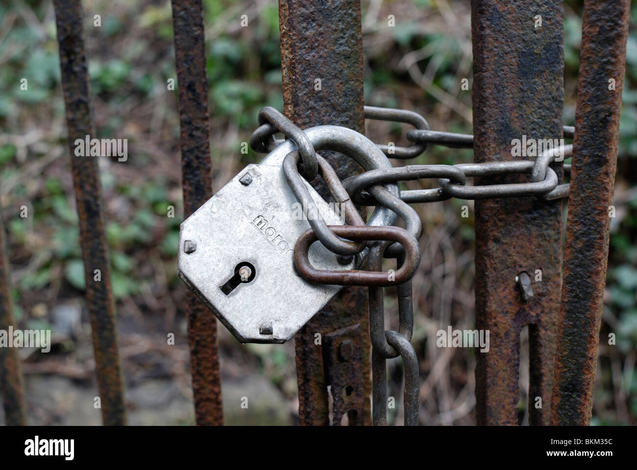 Heavy padlock on old rusty gate. Stock Photo