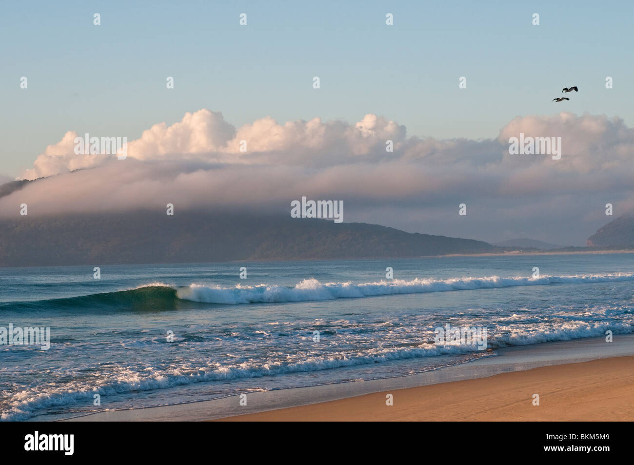 Early morning on the beach, Hawks Nest, NSW, Australia Stock Photo
