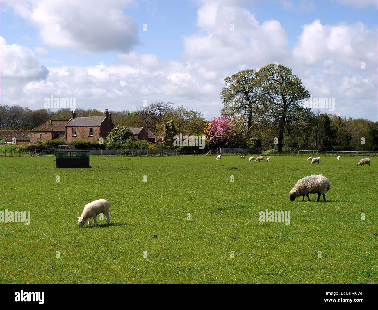 Grange farm hires stock photography and images Alamy