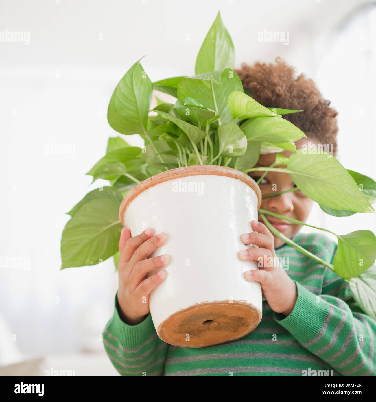 Black boy carrying potted plant Stock Photo