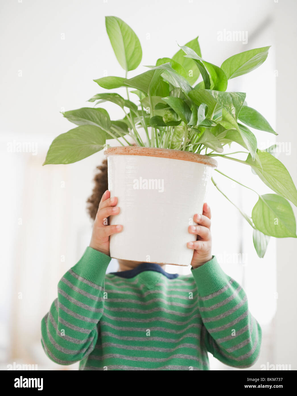 Black boy carrying potted plant Stock Photo