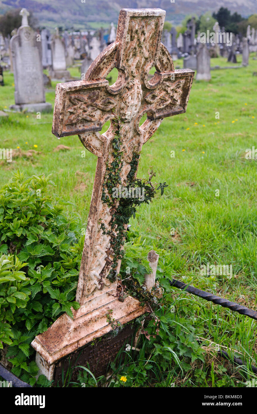Rusty castiron celtic cross headstone, with ivy growing up it Stock