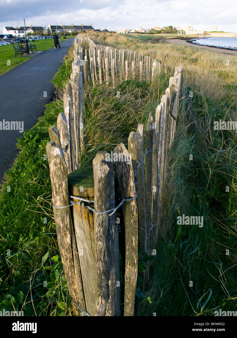 Dune preservation fences on the beach at Skerries, north county Dublin, Ireland Stock Photo