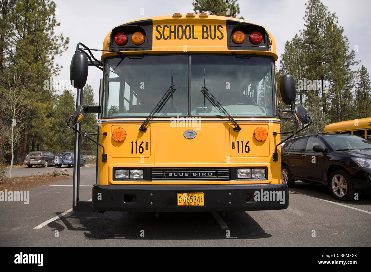 An American school bus waiting for children to board Stock Photo