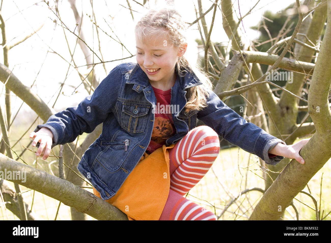 Girl climbing in trees Stock Photo Alamy