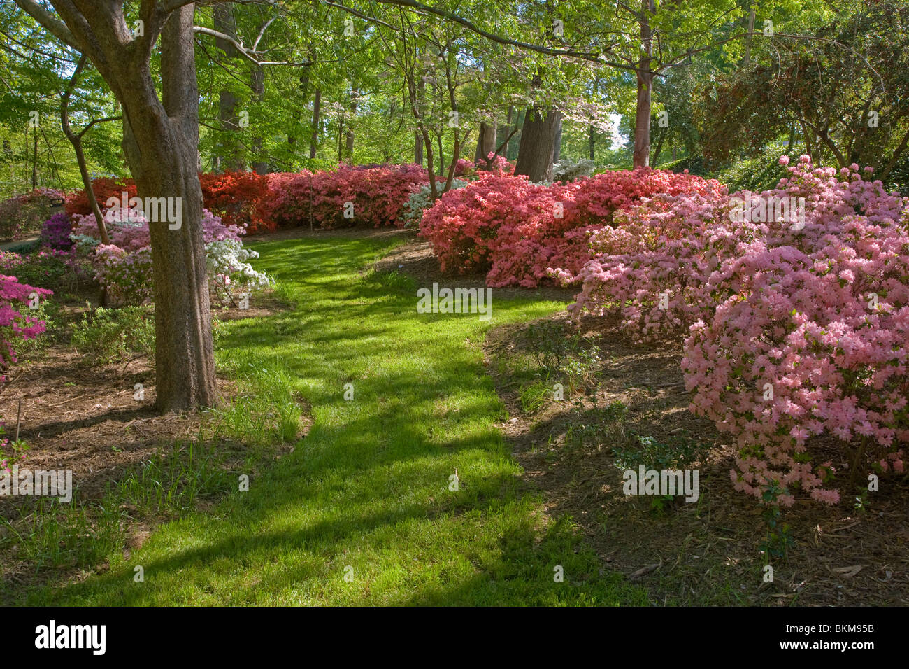 Glencairn Garden in Rock Hill South Carolina Stock Photo Alamy