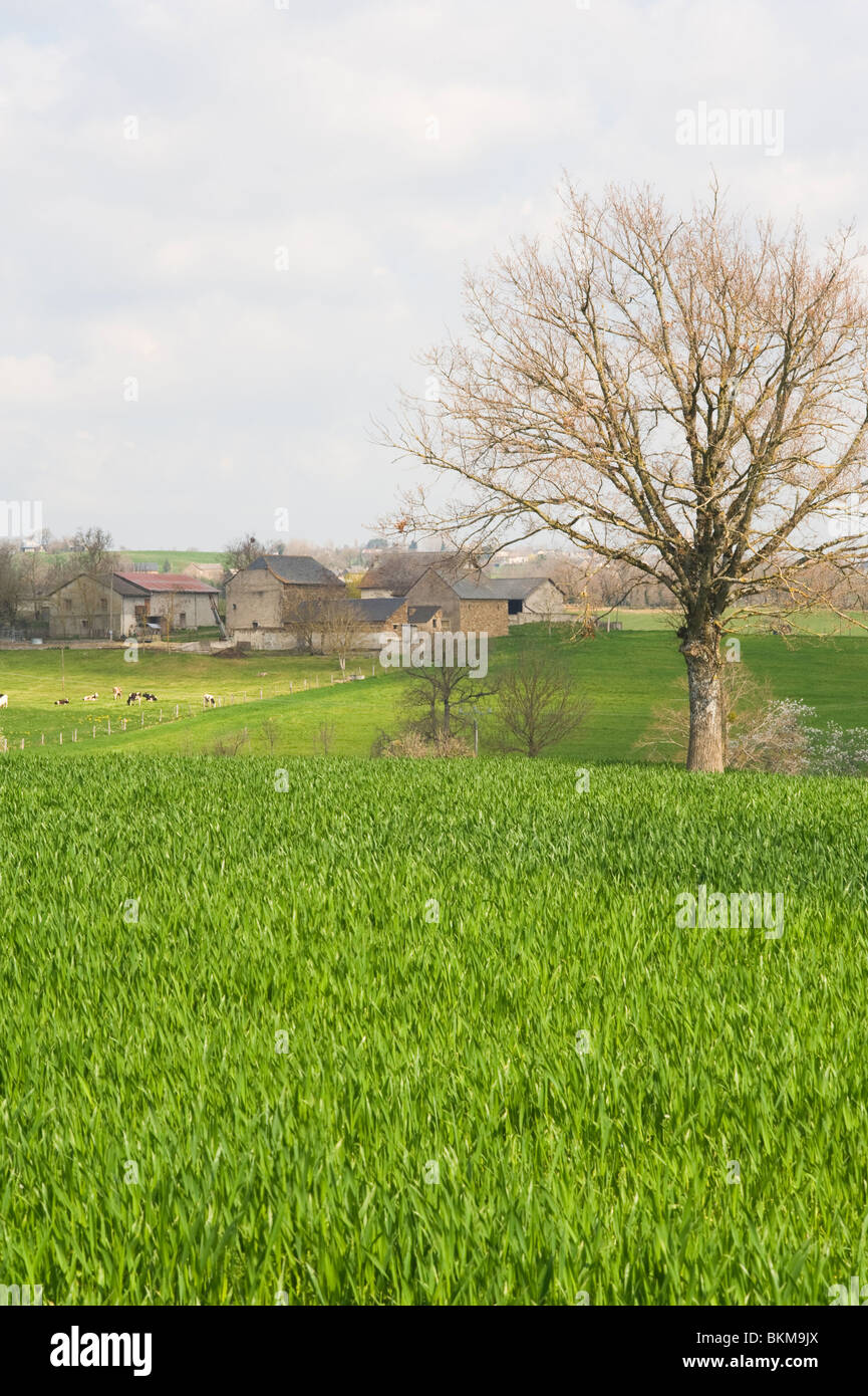 Agri dating Aveyron