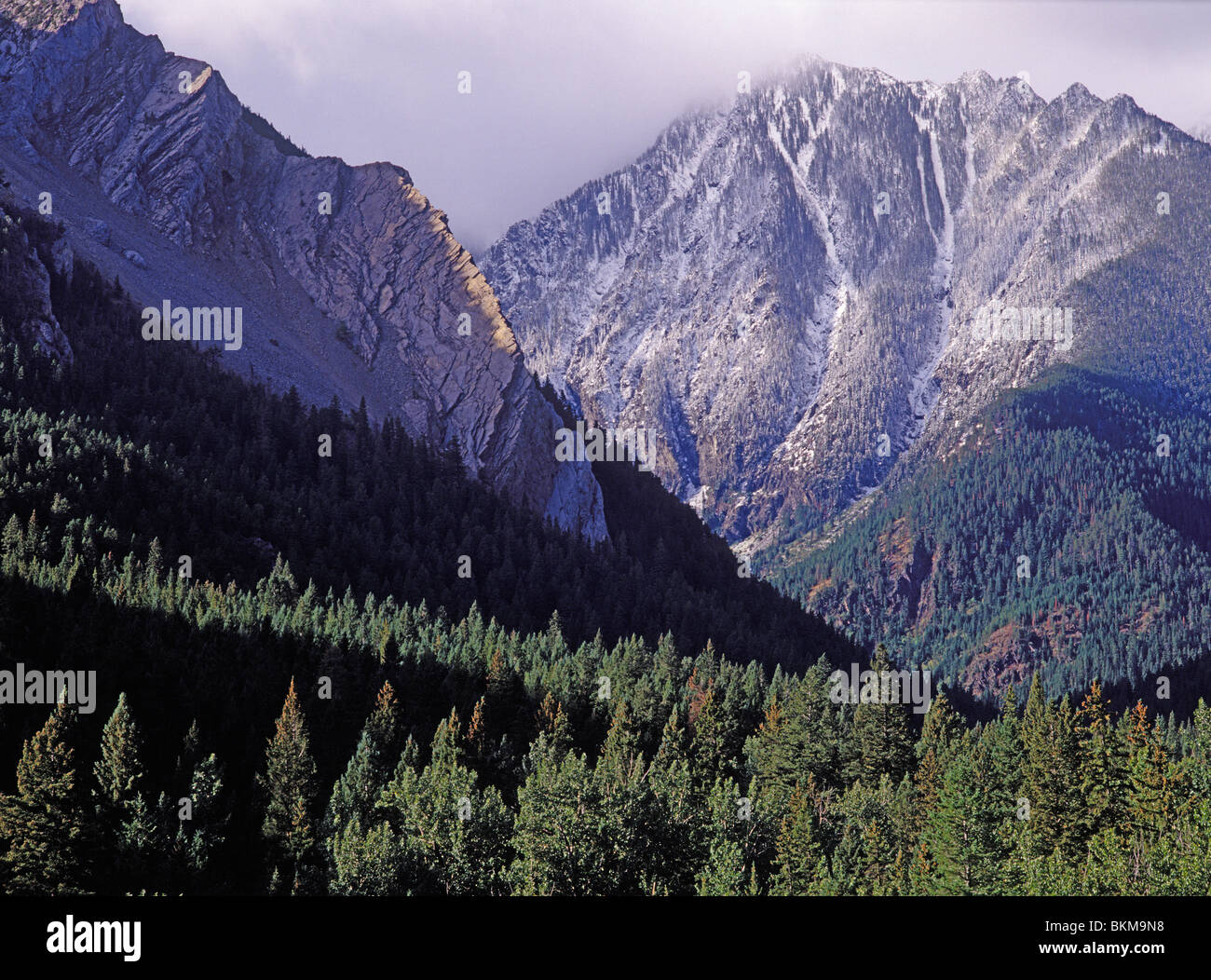 Absaroka county hires stock photography and images Alamy