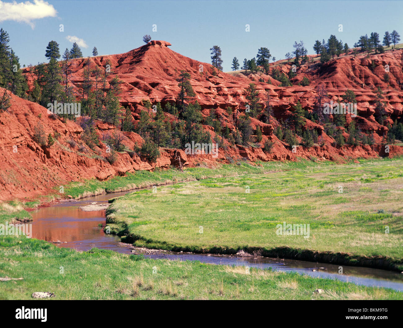 Red sandstone cliffs along the Belle Fourche river, spring in Devils Tower National Monument