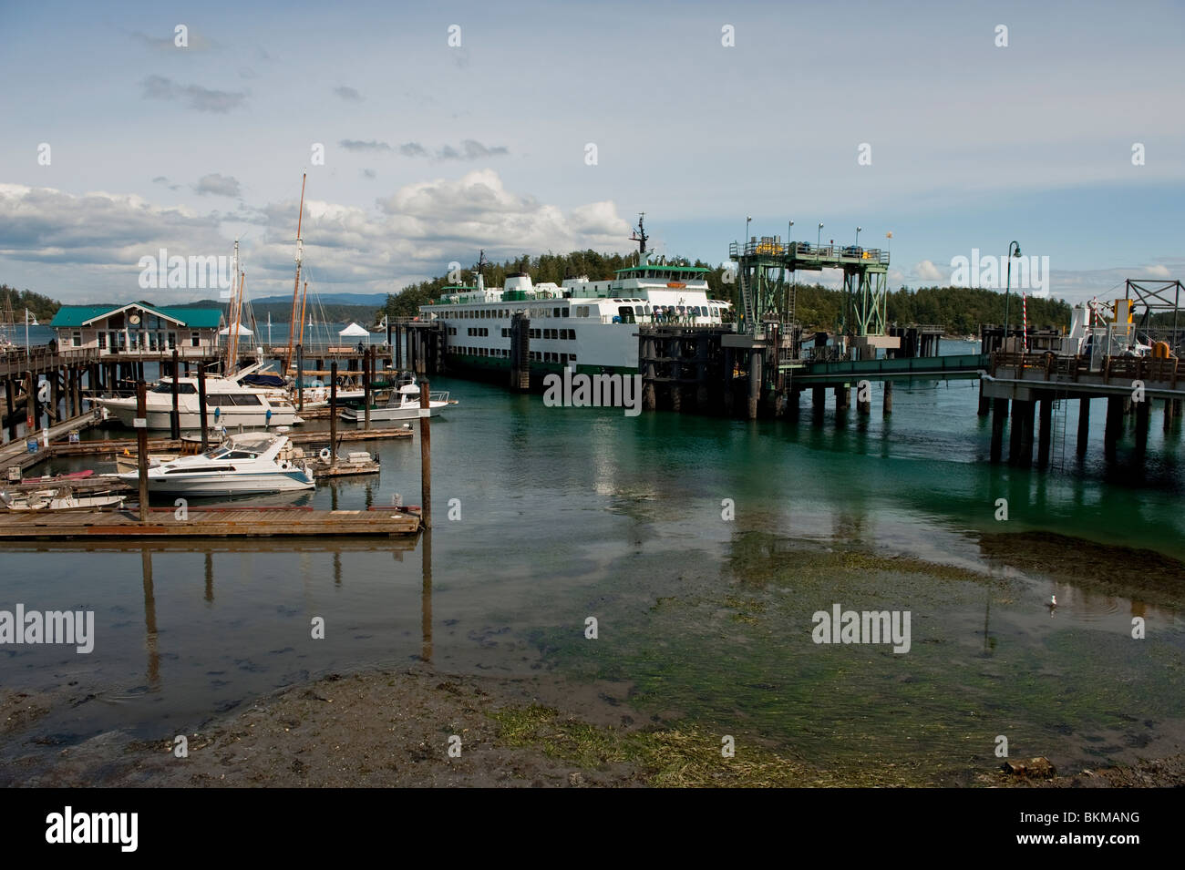 Friday Harbor, San Juan Island, Washington. The Washington State ferry