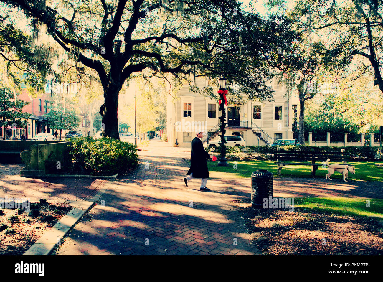 MAN WALKING THE DOG ON A WINTER MORNING ON CHIPPEWA SQUARE IN SAVANNAH, GEORGIA, UNITED STATES  Stock Photo