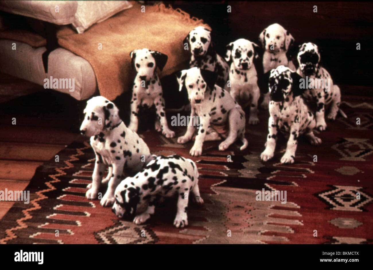 Page 2 101 Dalmatians Film High Resolution Stock Photography And Images Alamy