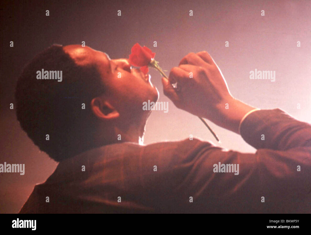 BIRD 1988 FOREST WHITAKER Stock Photo Alamy