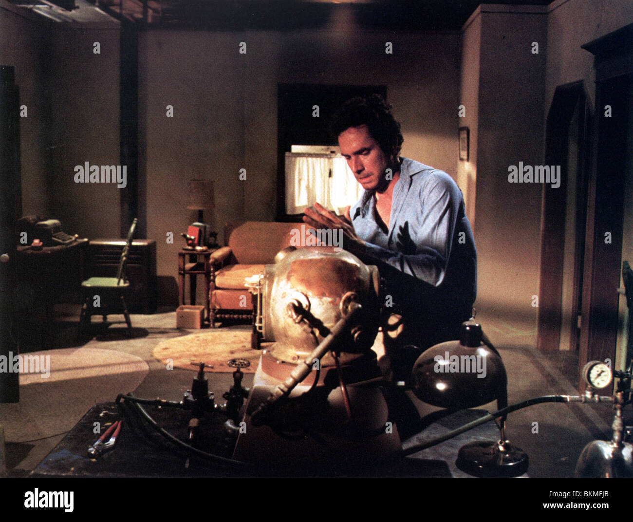 BUG -1975 BRADFORD DILLMAN Stock Photo