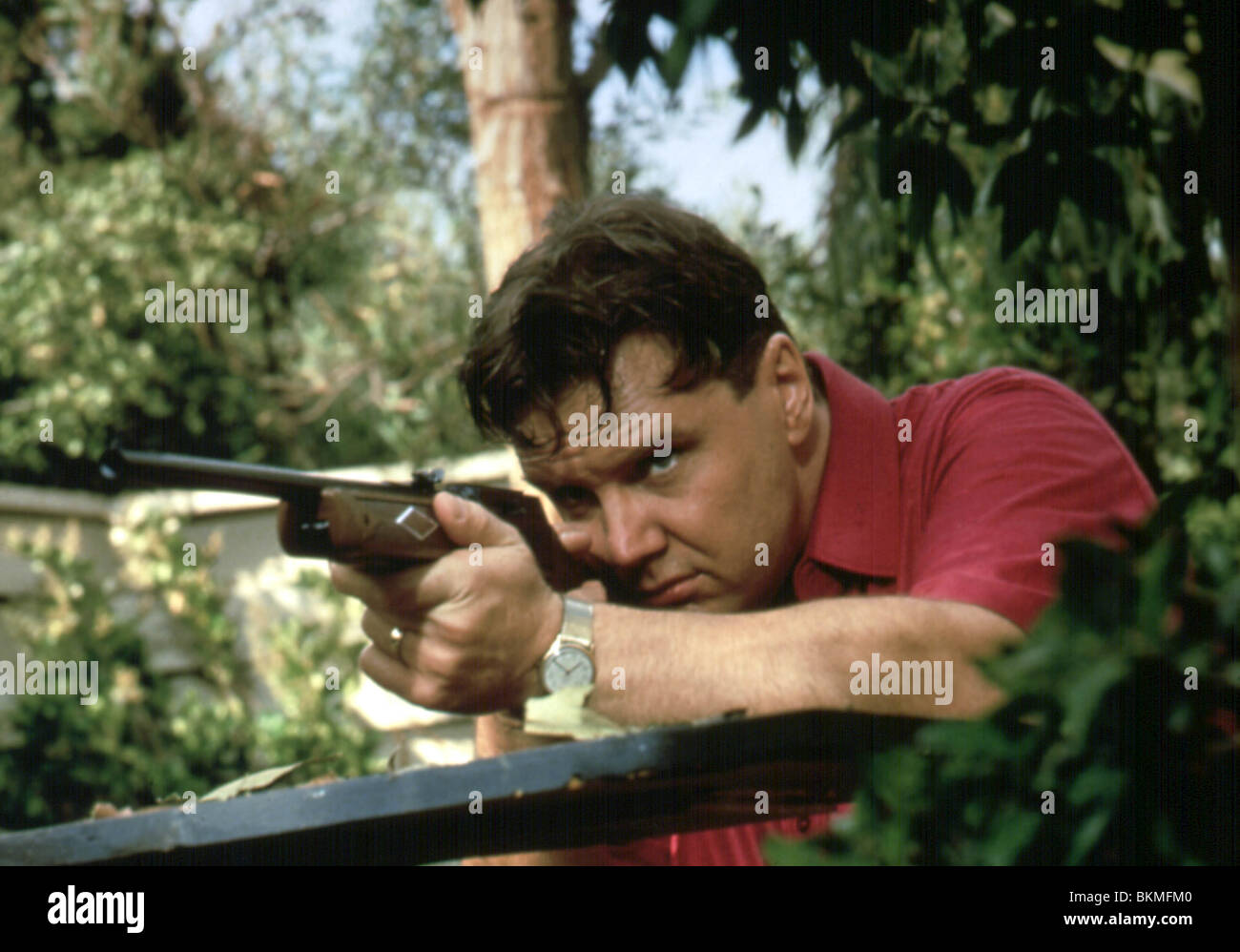THE BURBS (1989) RICK DUCOMMUN BURB 030 L Stock Photo - Alamy