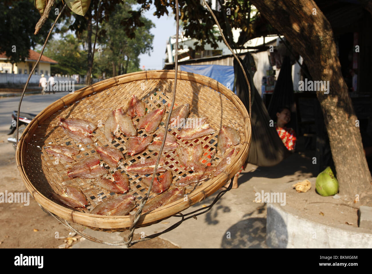 Fish drying in the sun Stock Photo Alamy