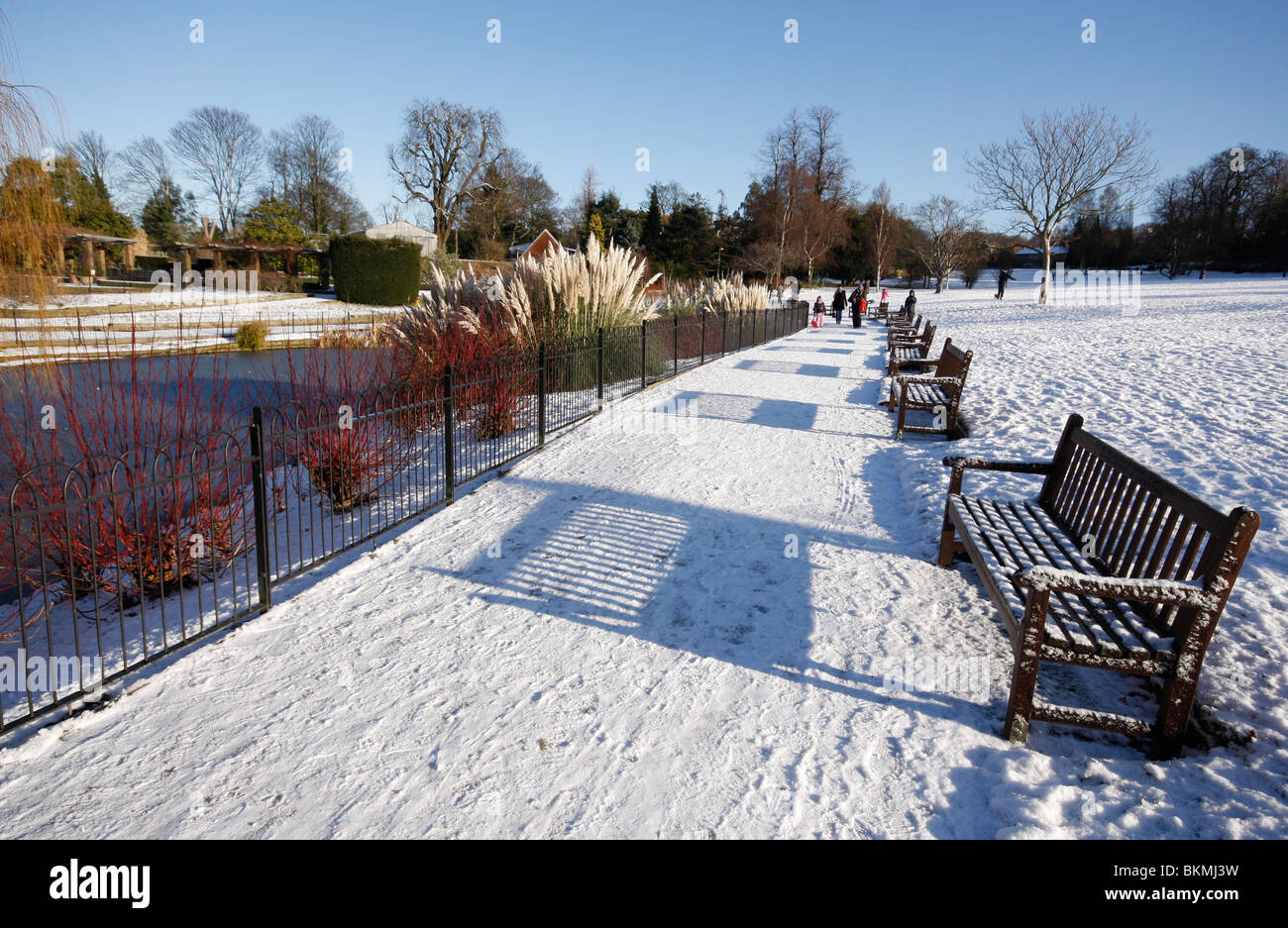 London's Golders Hill Park in the snow Stock Photo Alamy