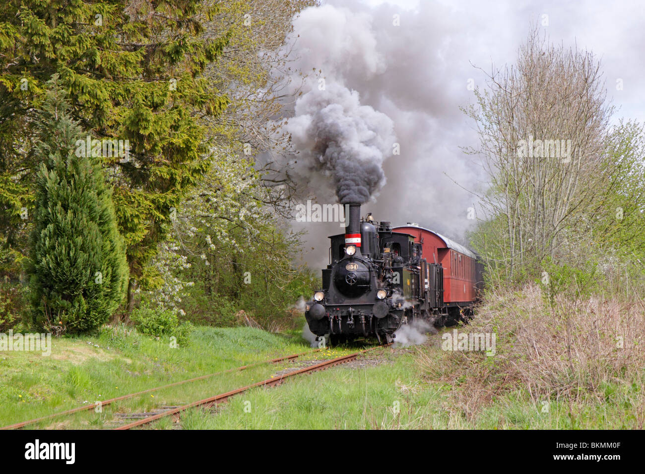 steam train Angelner Dampfeisenbahn near Kappeln, Baltic Sea Fjord