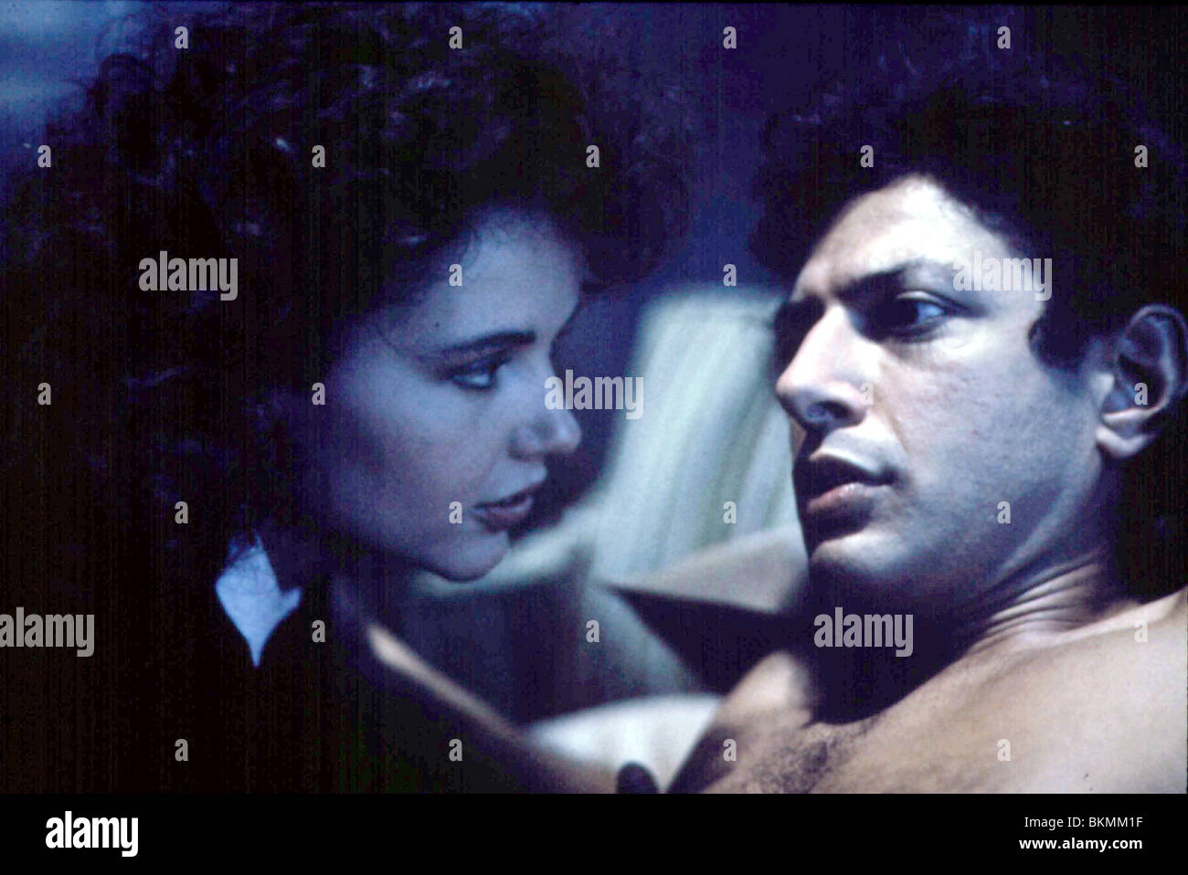 THE FLY (1986) GEENA DAVIS, JEFF GOLDBLUM FLY 007 P Stock Photo