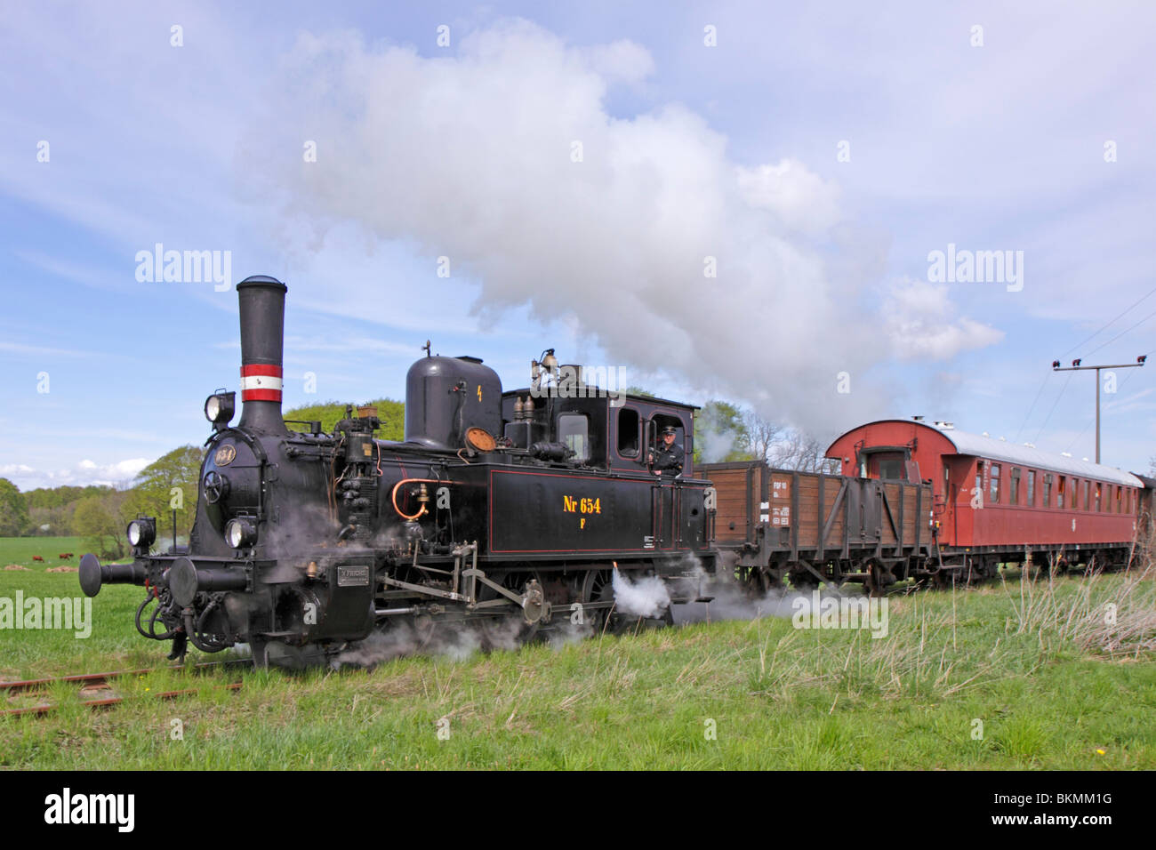 steam train Angelner Dampfeisenbahn near Wagersrott, Baltic Sea Fjord