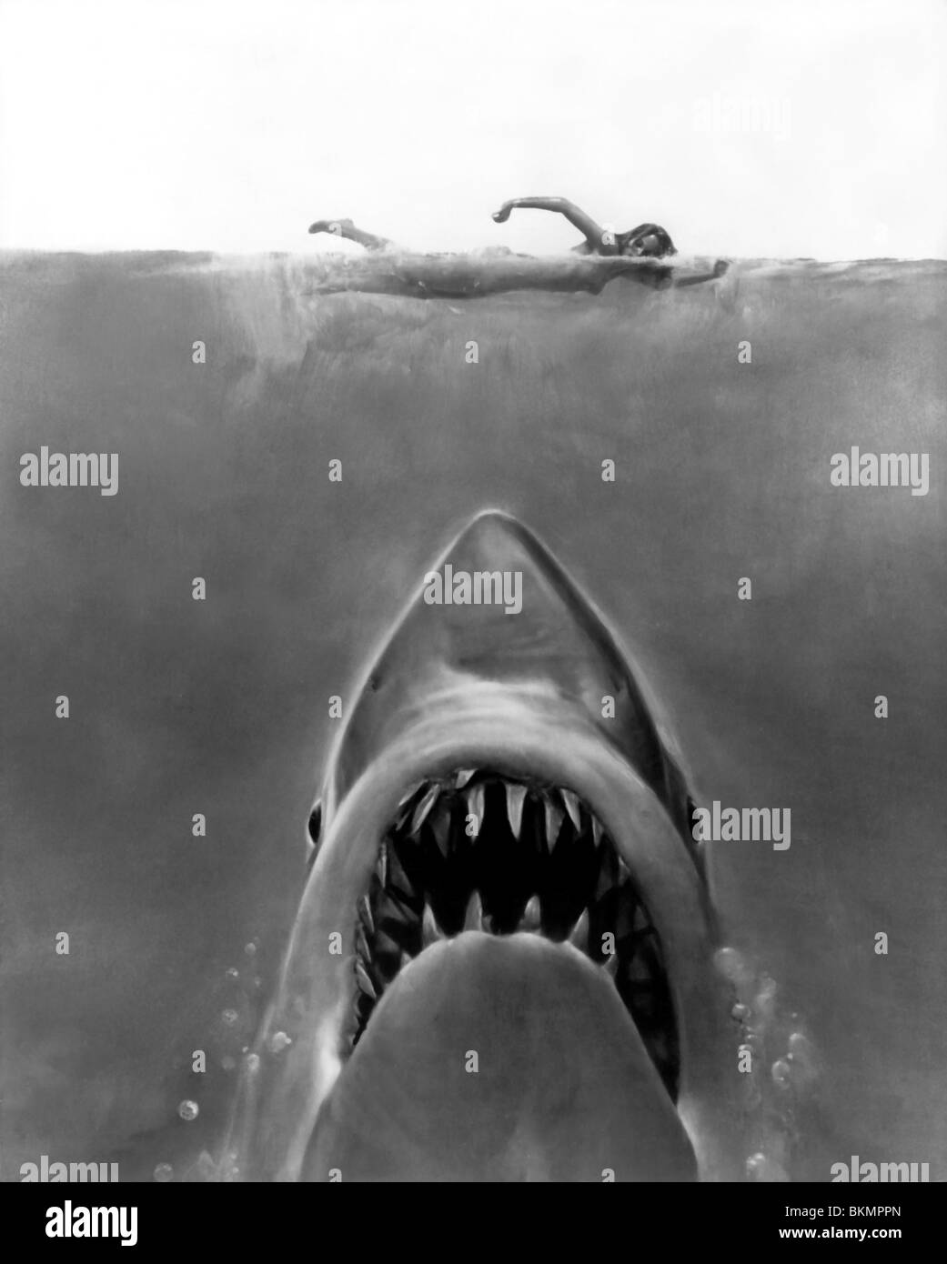 Jaws 1975 film still hires stock photography and images Alamy