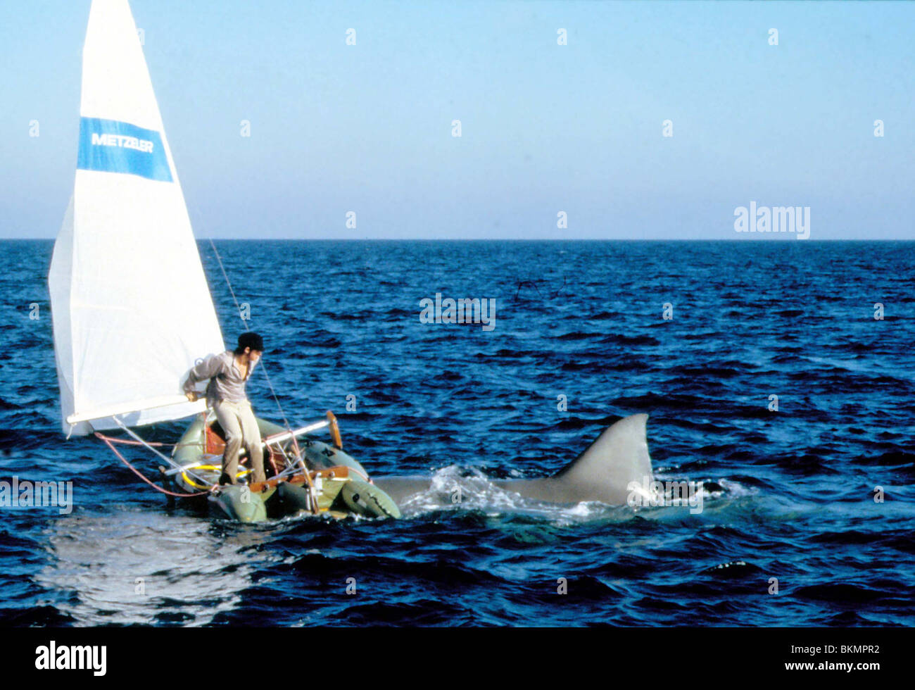 JAWS 2 -1978 Stock Photo - Alamy