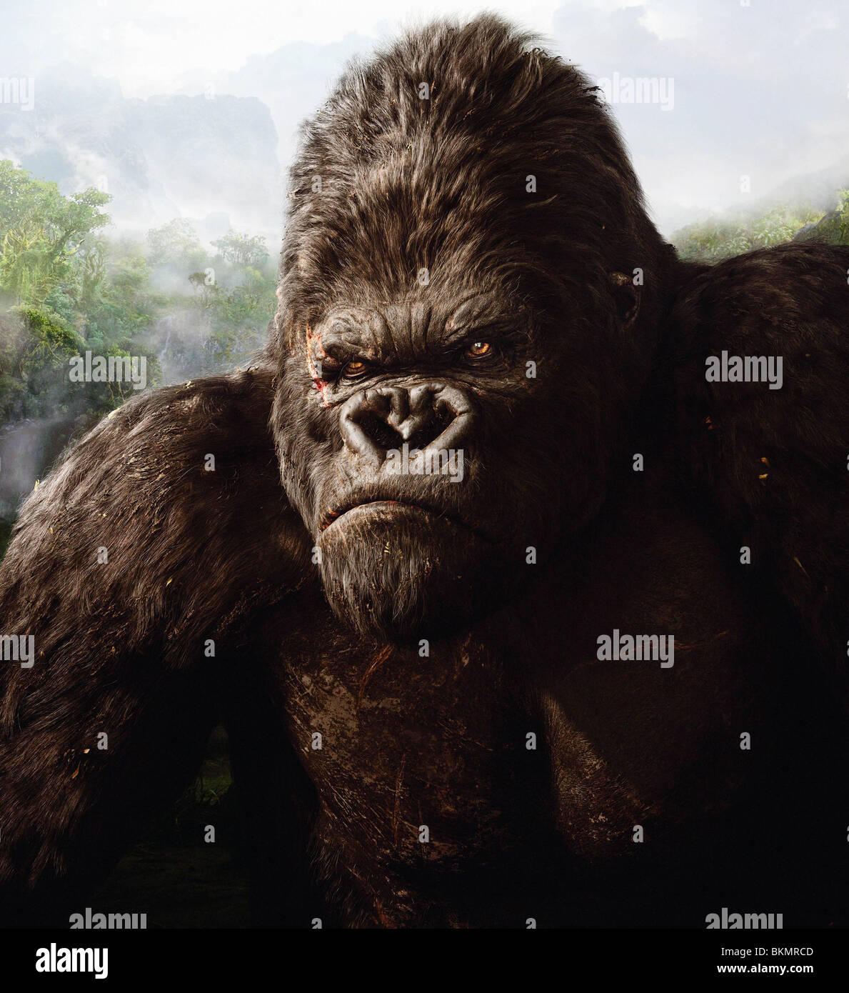 Collection 99+ Images show me a picture of king kong Full HD, 2k, 4k