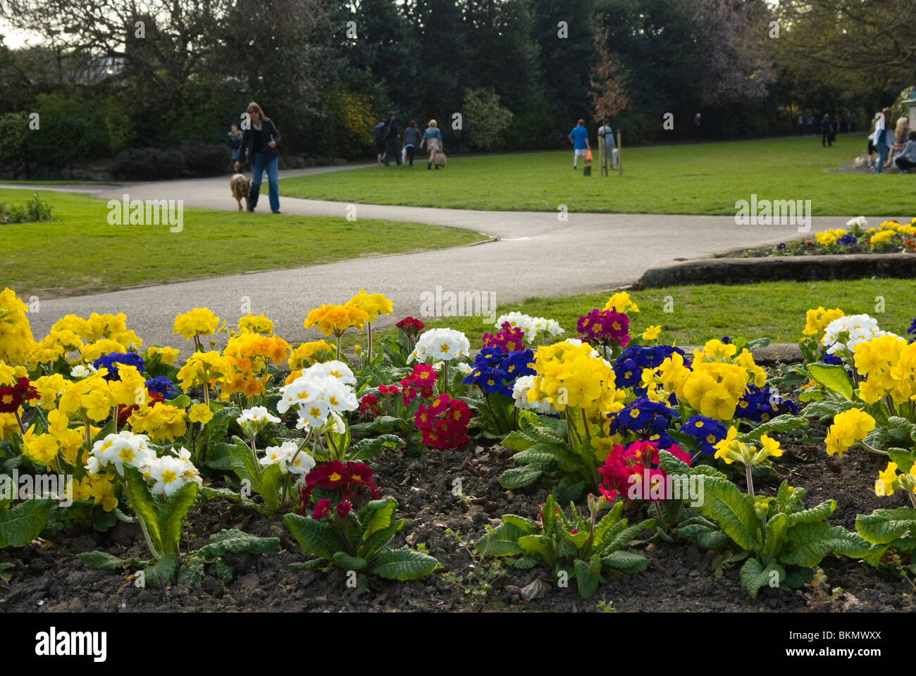 Endcliffe Park, Sheffield, South Yorkshire Stock Photo Alamy
