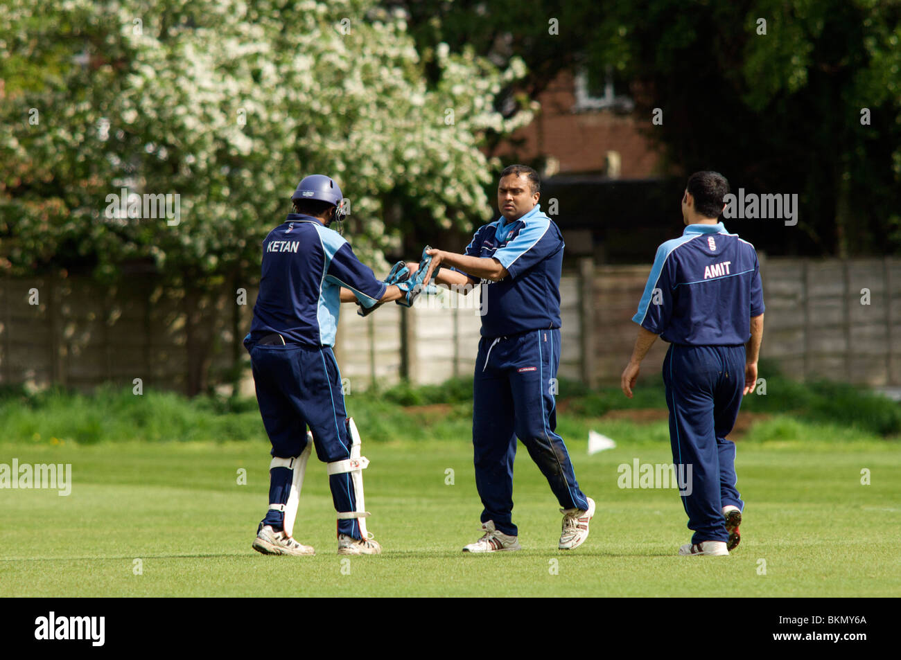 fielders celebrate a wicket during a cricket match Stock Photo