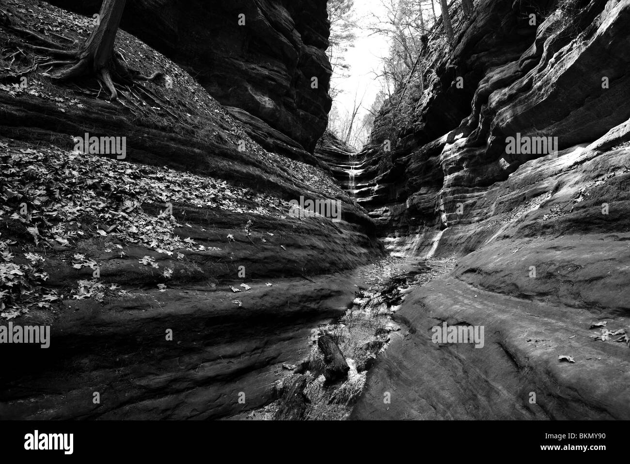 FRENCH CANYON IN STARVED ROCK STATE PARK, LA SALLE COUNTY, ILLINOIS, USA Stock Photo