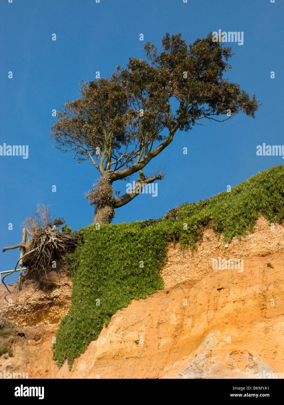 Cliff erosion uk hi-res stock photography and images - Alamy