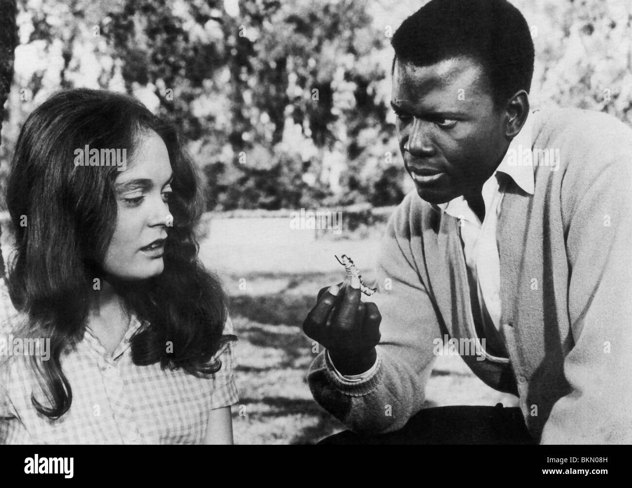 2019 year - Elizabeth Hartman 2019 year