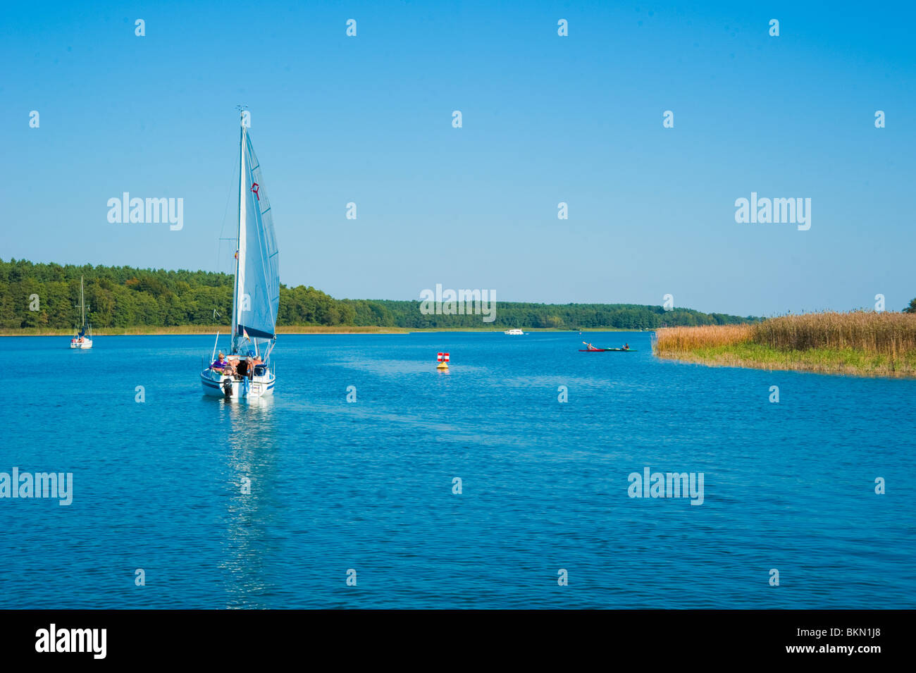 Sailing yacht on Jabelscher See, lake near Muritz, Mecklenburg Western-Pomerania, Germany Stock Photo