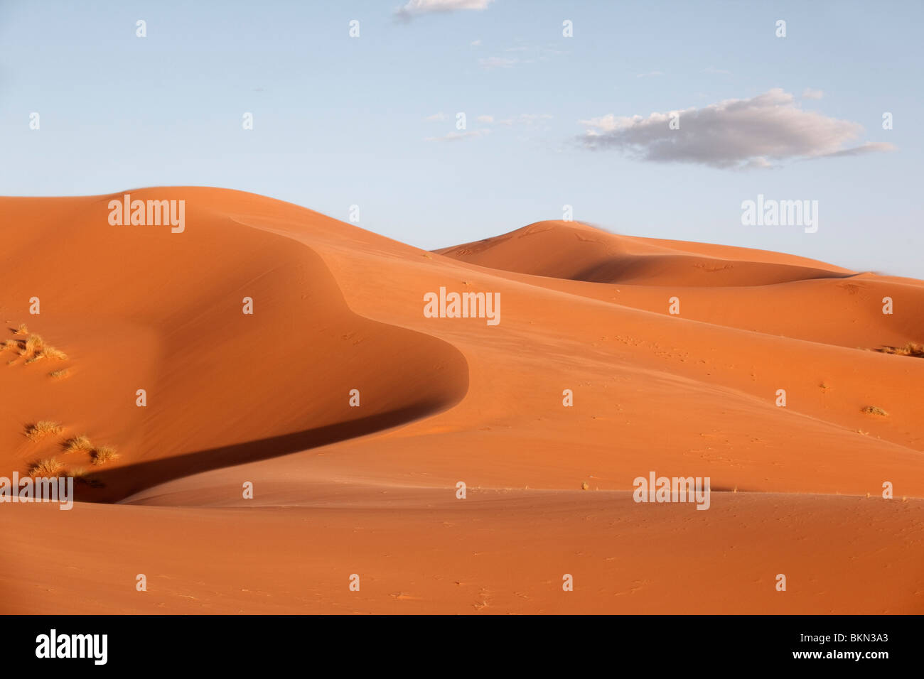 taken in the Sahara desert, Morocco. Composition of a dune, drawing lines and creating a cloud. Stock Photo