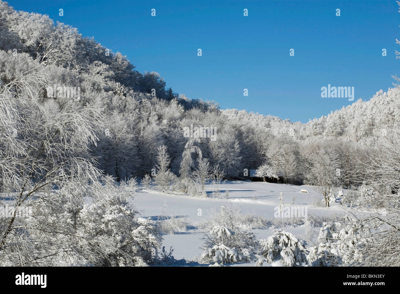 A Winter Landscape Stock Photo - Alamy