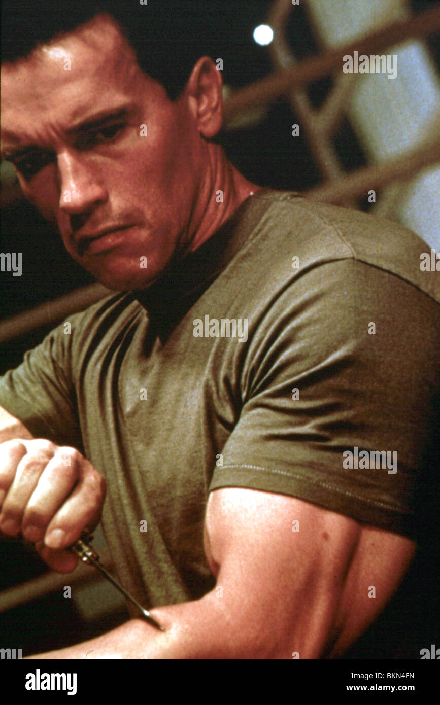 Arnold Schwarzenegger Terminator 2 Muscles