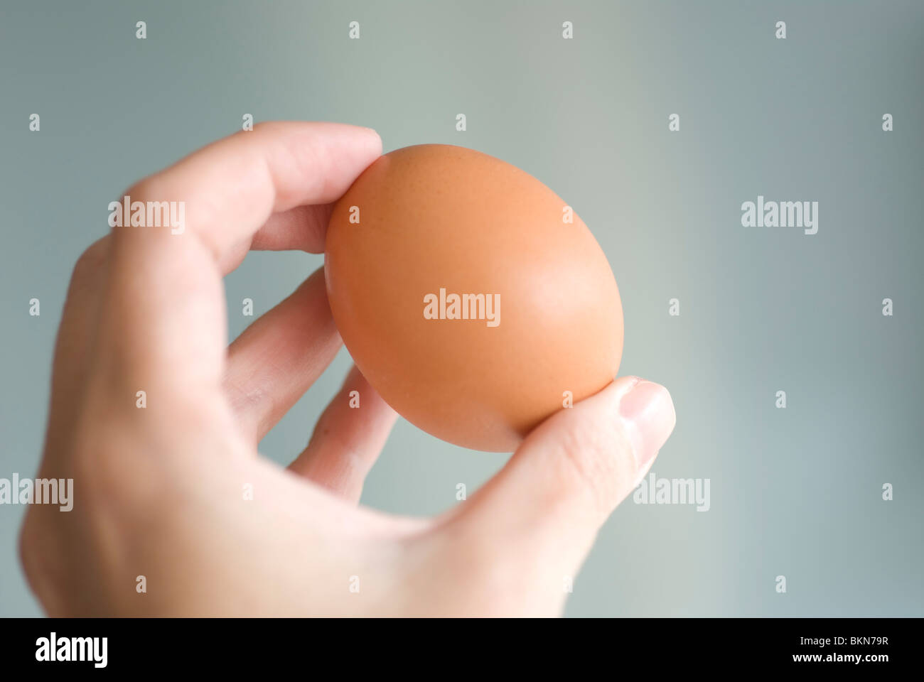 Woman holding a brown egg Stock Photo