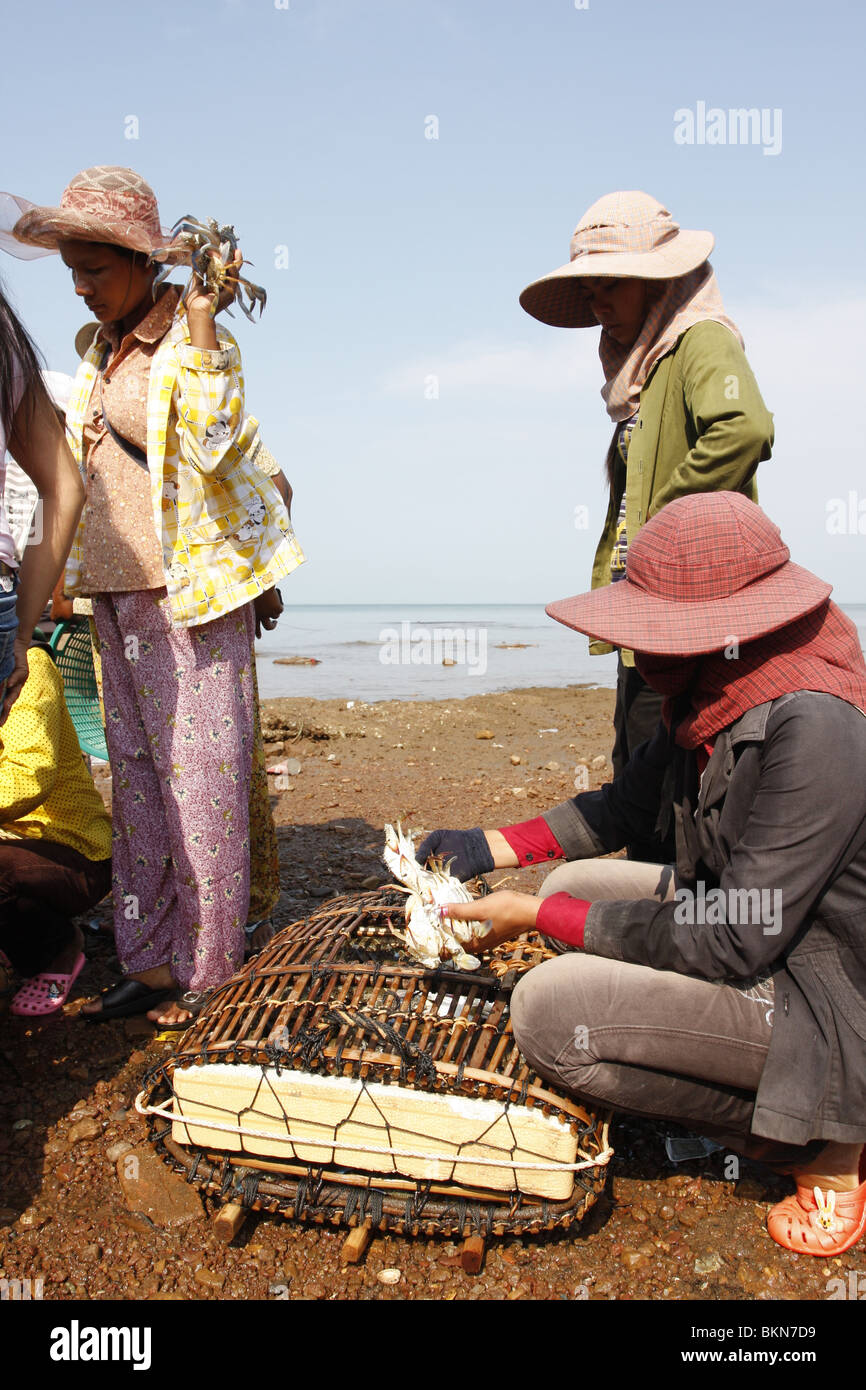 Crab fishing ladies negotiate the price for their catch at the crab market in Kep, Cambodia Stock Photo