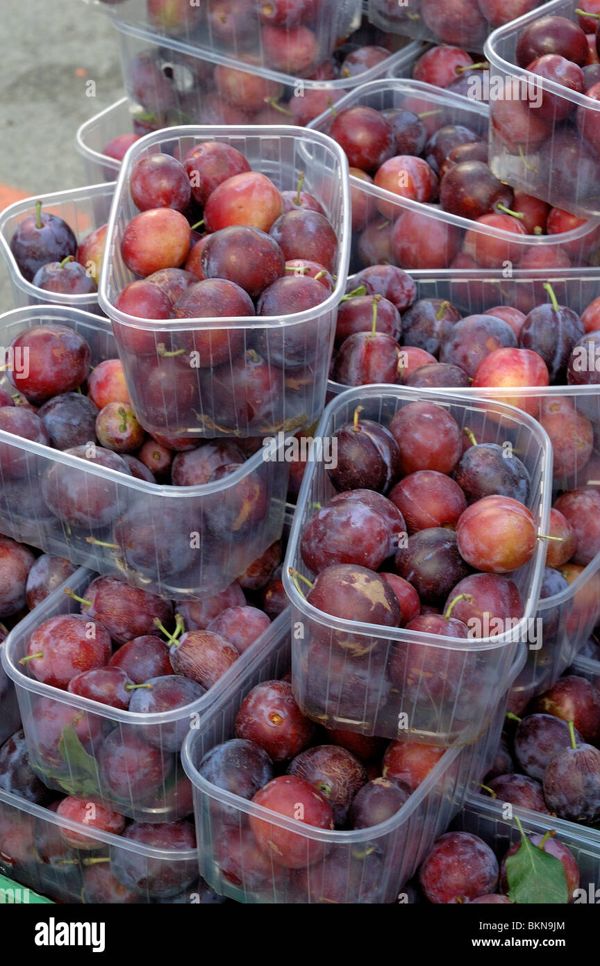 Plums for sale at Islington Farmers Market London England UK Stock