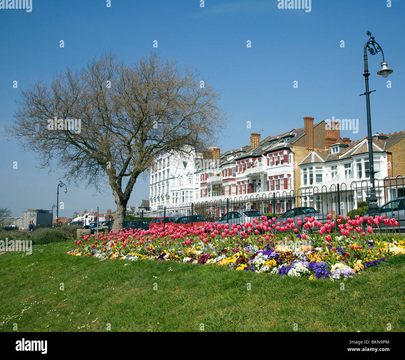 Westcliff gardens hires stock photography and images Alamy