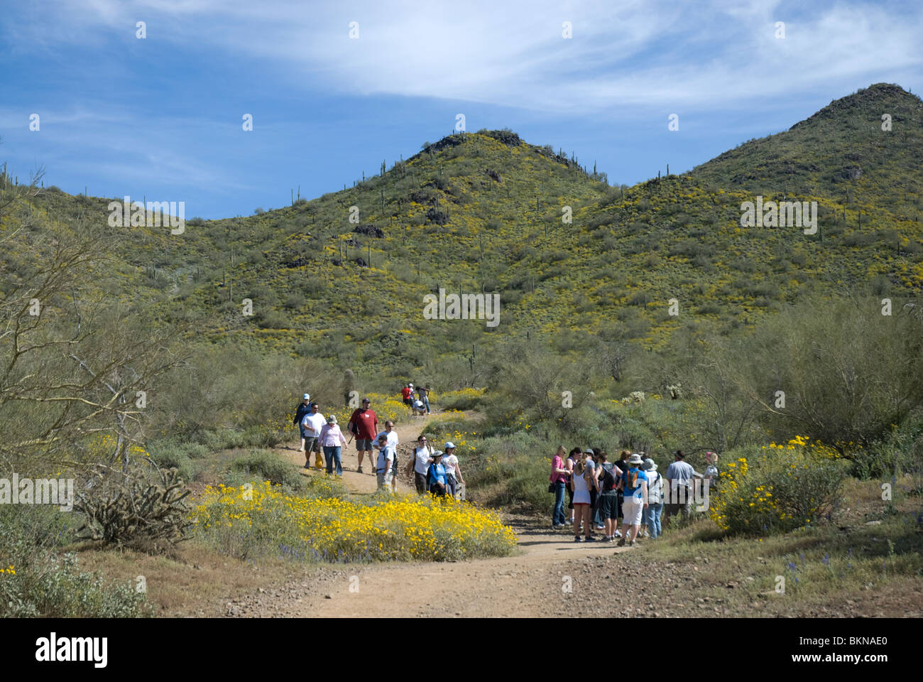 Hikers on a trail at Cave Creek Regional Park, Cave Creek, near Phoenix