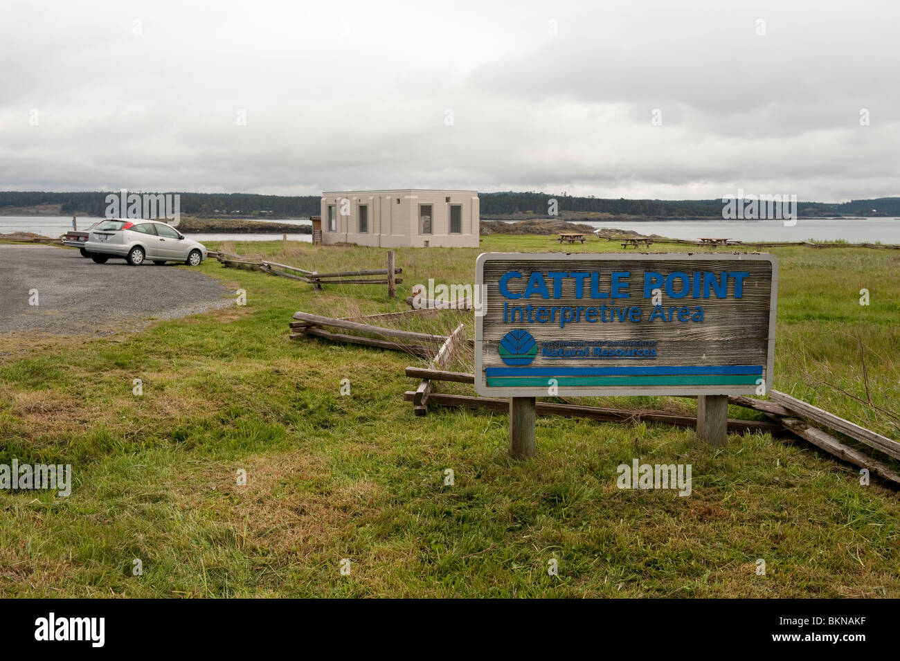 Cattle Point has two beautiful sandy beaches with rocky edges perfect ...