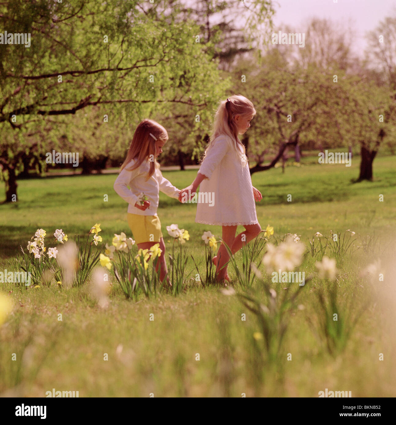Two young girls holding hands walking through a field of flowers Stock ...