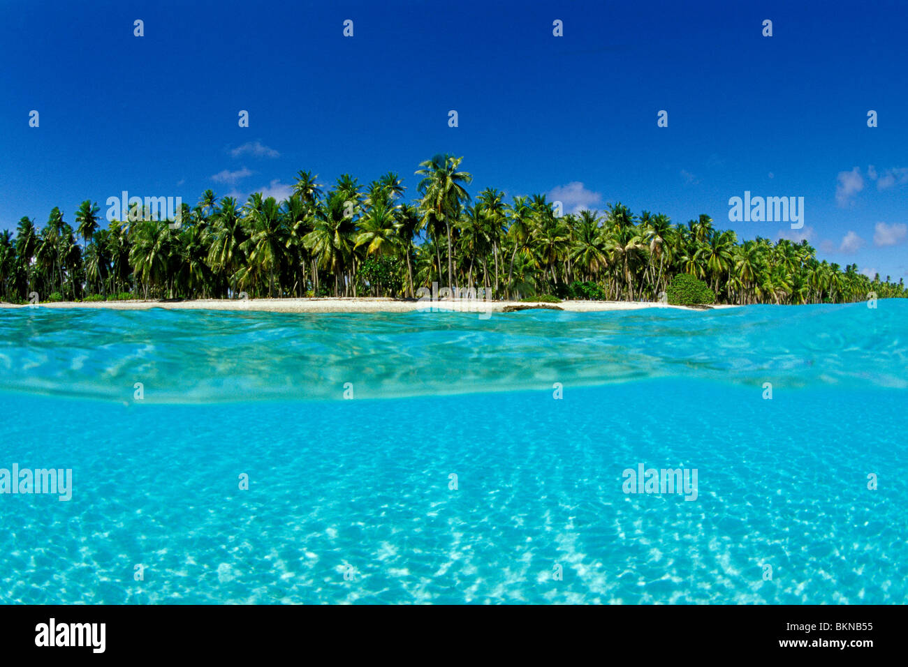 tropical-beach-coastline-palm-trees-hi-res-stock-photography-and-images