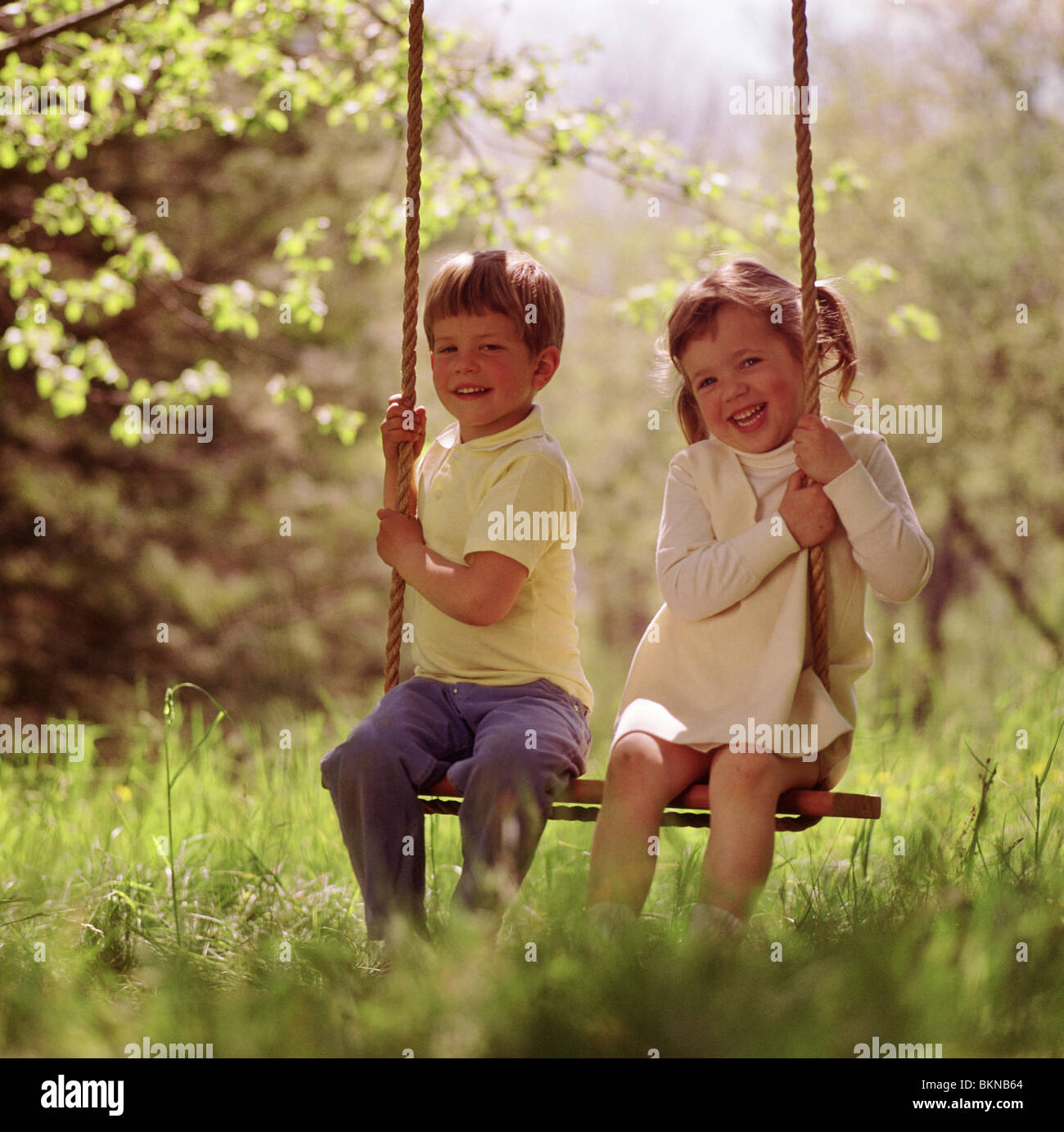 Brother and sister sitting on a tree swing Stock Photo - Alamy