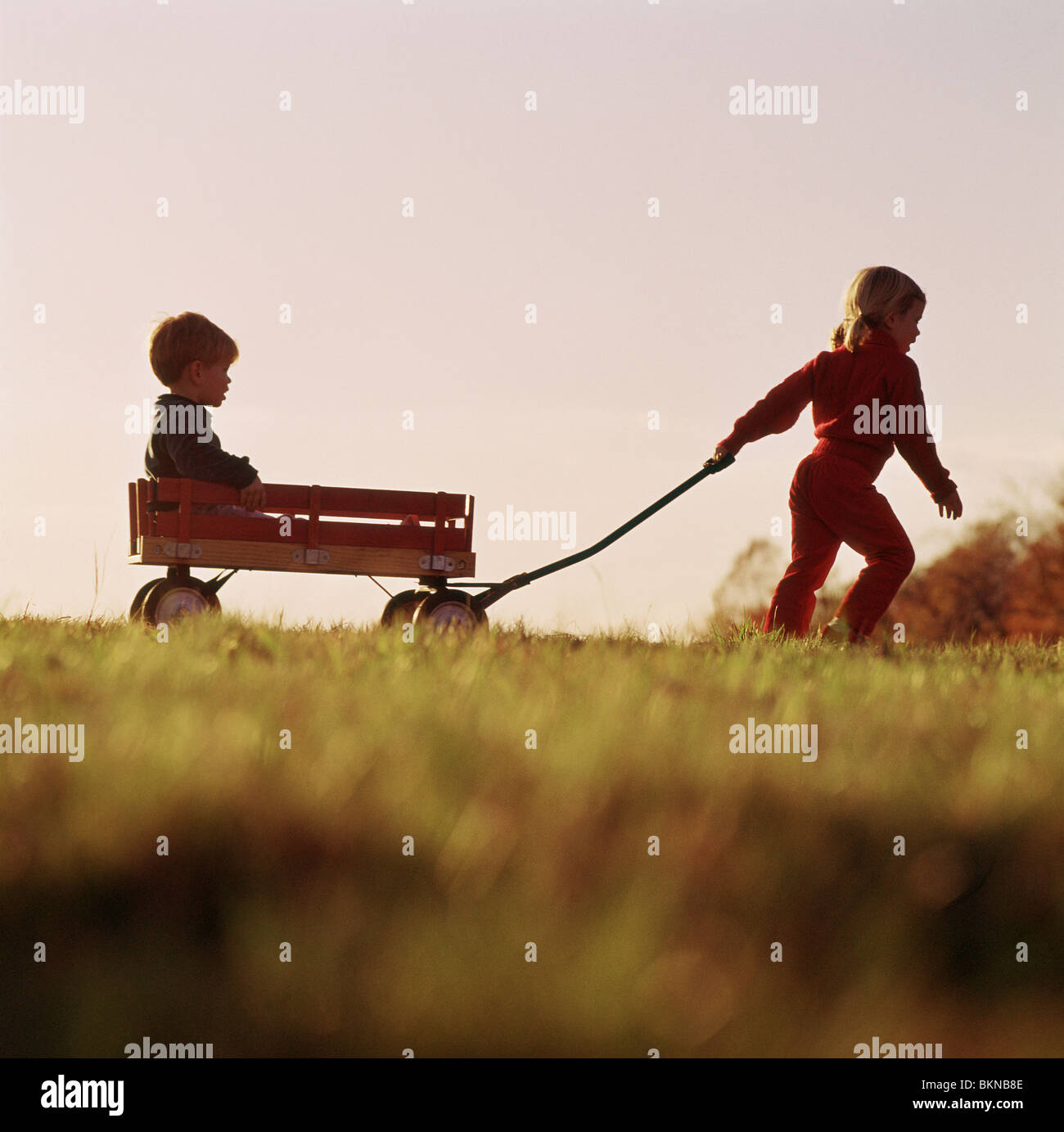 Sister pulling her brother in a wagon Stock Photo - Alamy